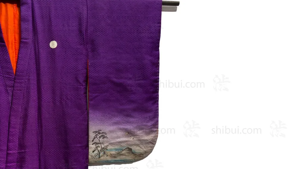Child's Kimono