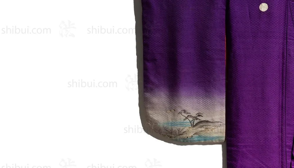 Child's Kimono