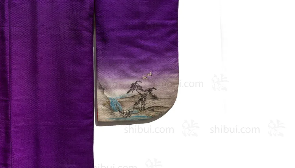 Child's Kimono