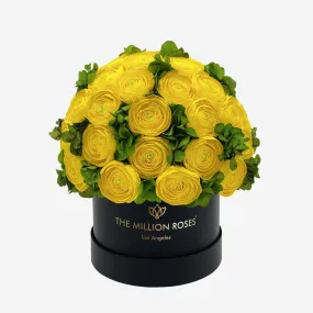 Classic Black Box | Yellow Persian Buttercups & Green Hydrangeas