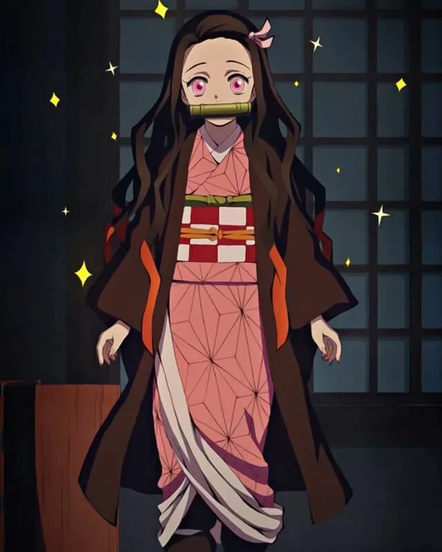 Demon Slayer Nezuko Kamado Coat