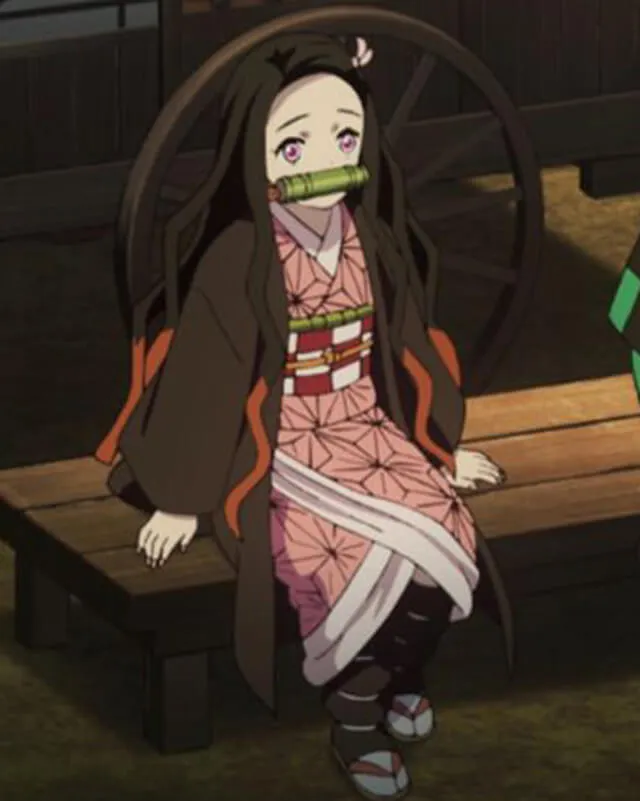 Demon Slayer Nezuko Kamado Coat