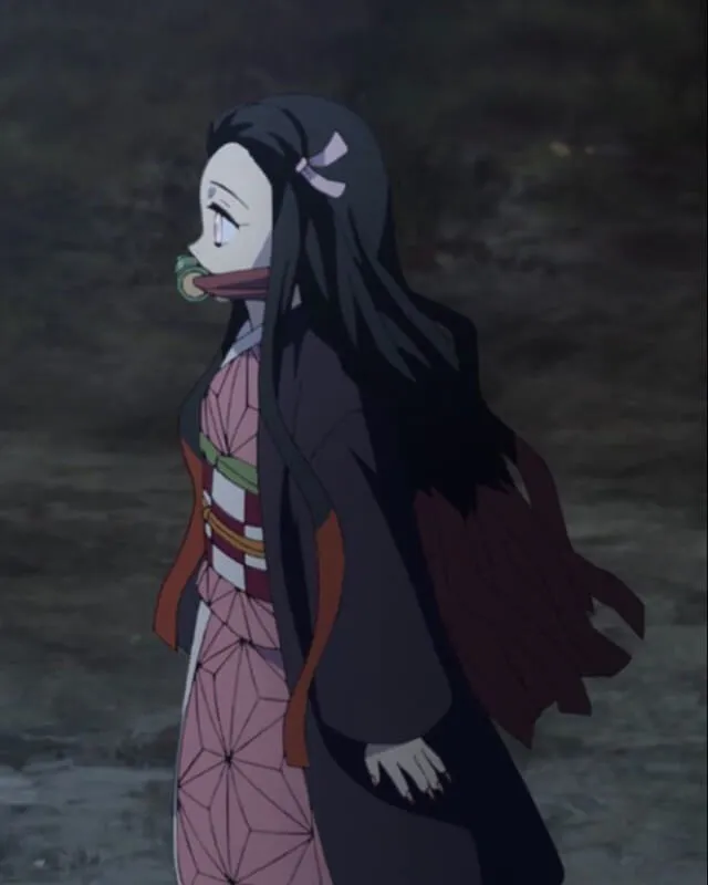 Demon Slayer Nezuko Kamado Coat