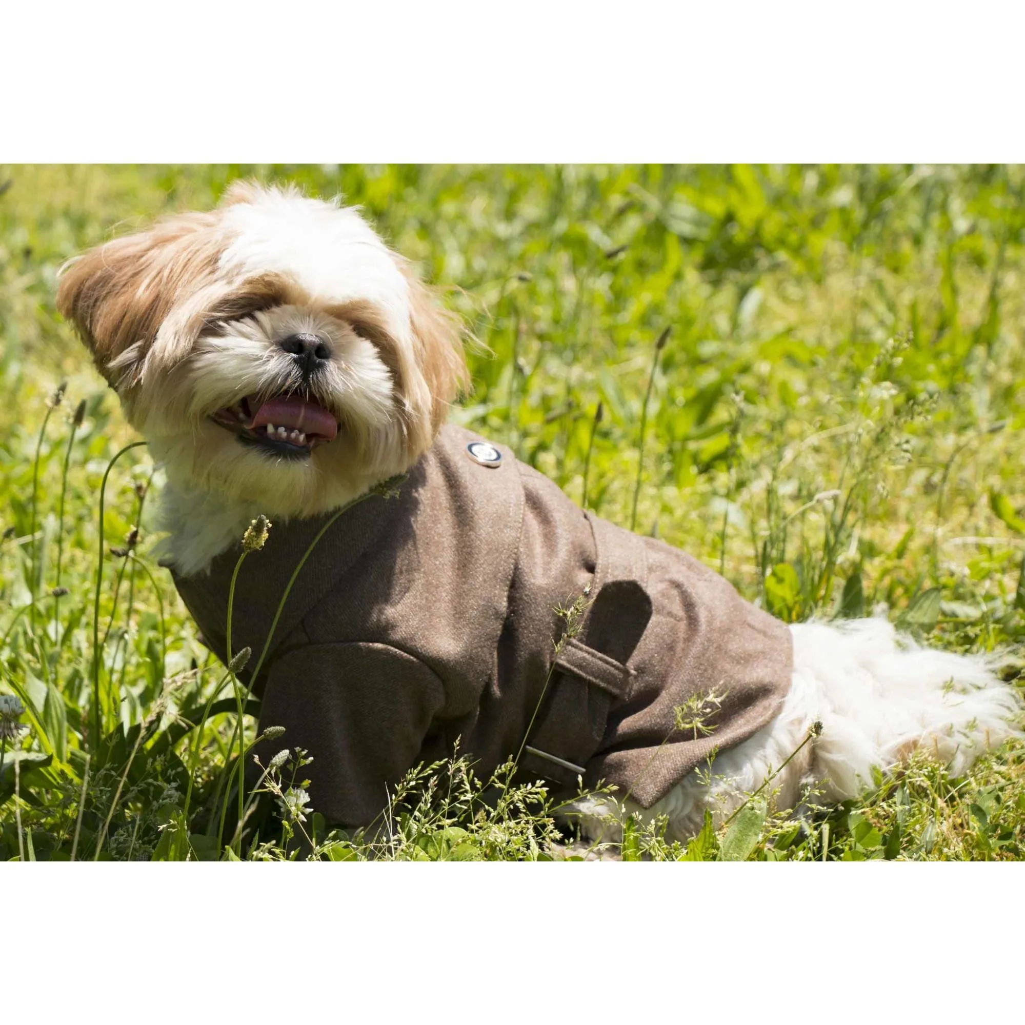 Wool Pet Coat Extras